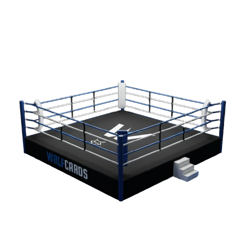 Knockout (16 spotjes)