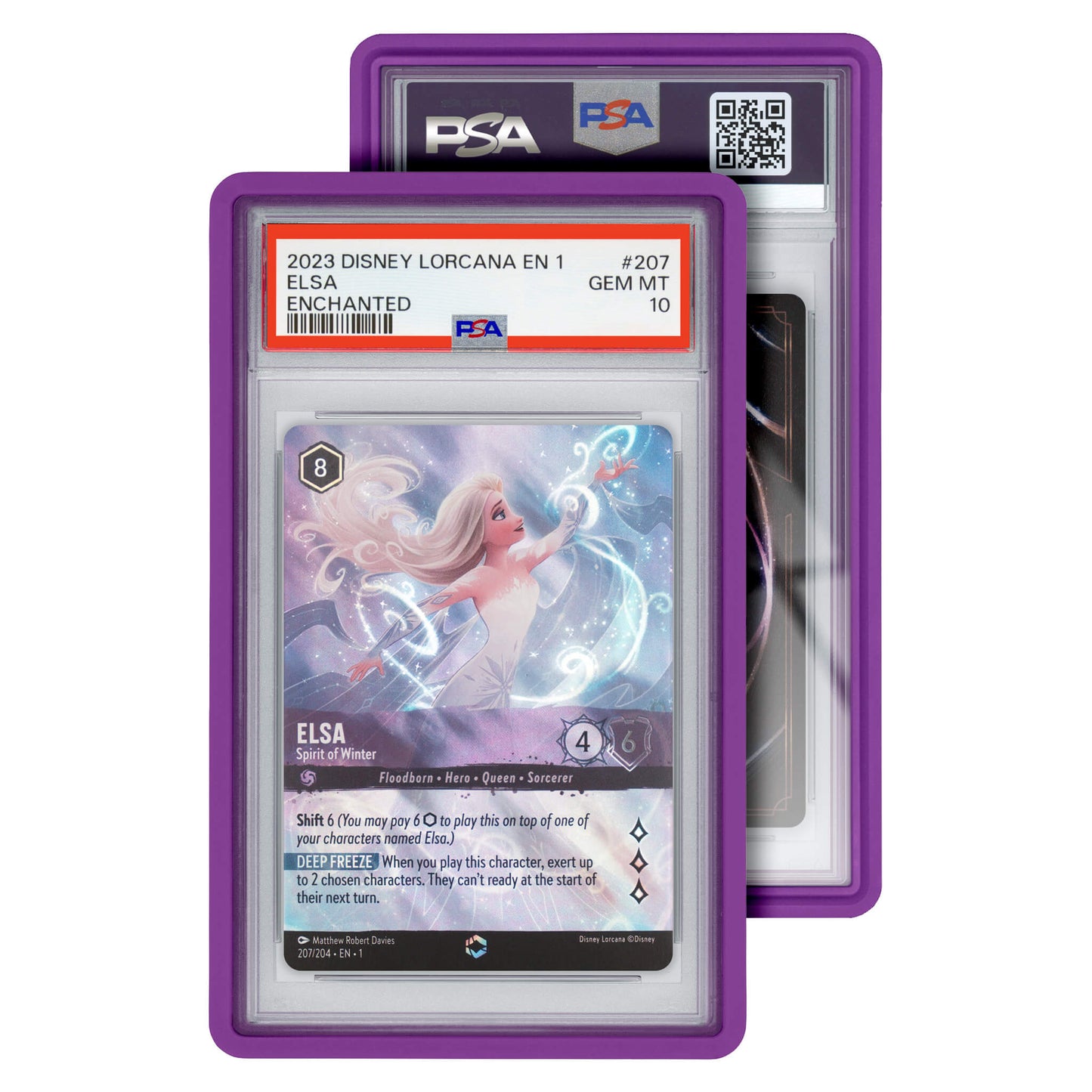 GradedGuard Standaard Case (PSA)